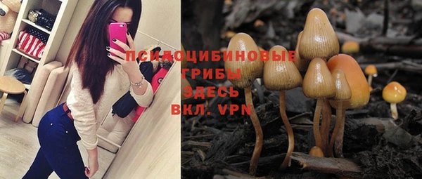 ALPHA-PVP Алексеевка